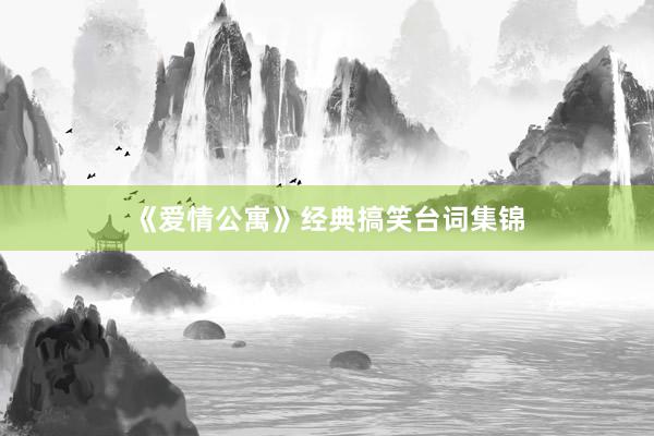 《爱情公寓》经典搞笑台词集锦